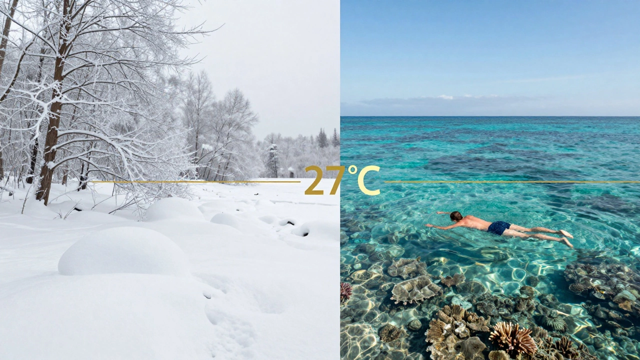 Сравнение зимы в России и тепла в тропиках: снег и лед слева, солнечный океан и кораллы справа.