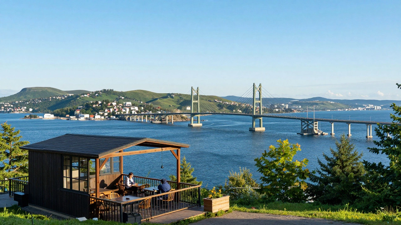 Вид на мосты Владивостока и океан с уютной террасы кафе